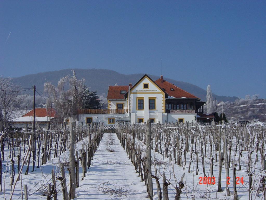 Bacchus Apartman - Borbarlang, Badacsony Badacsonytomaj Dış mekan fotoğraf