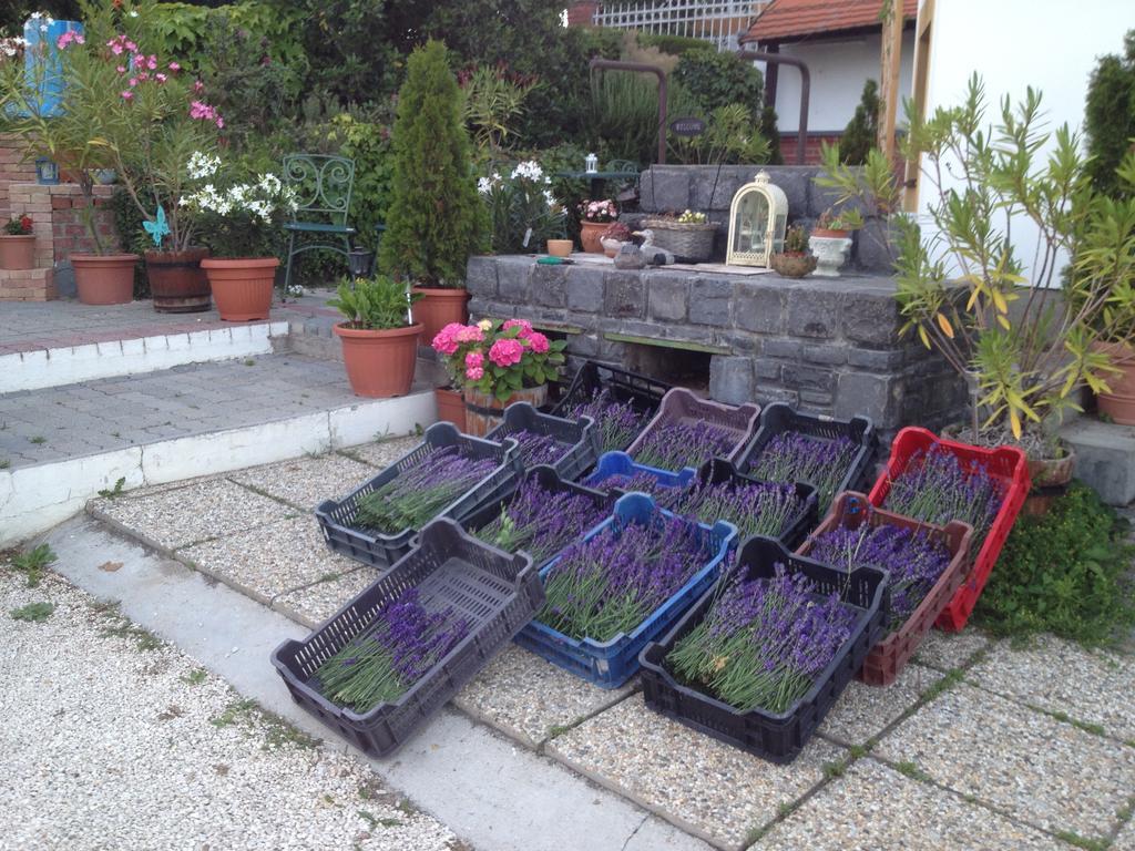 Bacchus Apartman - Borbarlang, Badacsony Badacsonytomaj Dış mekan fotoğraf