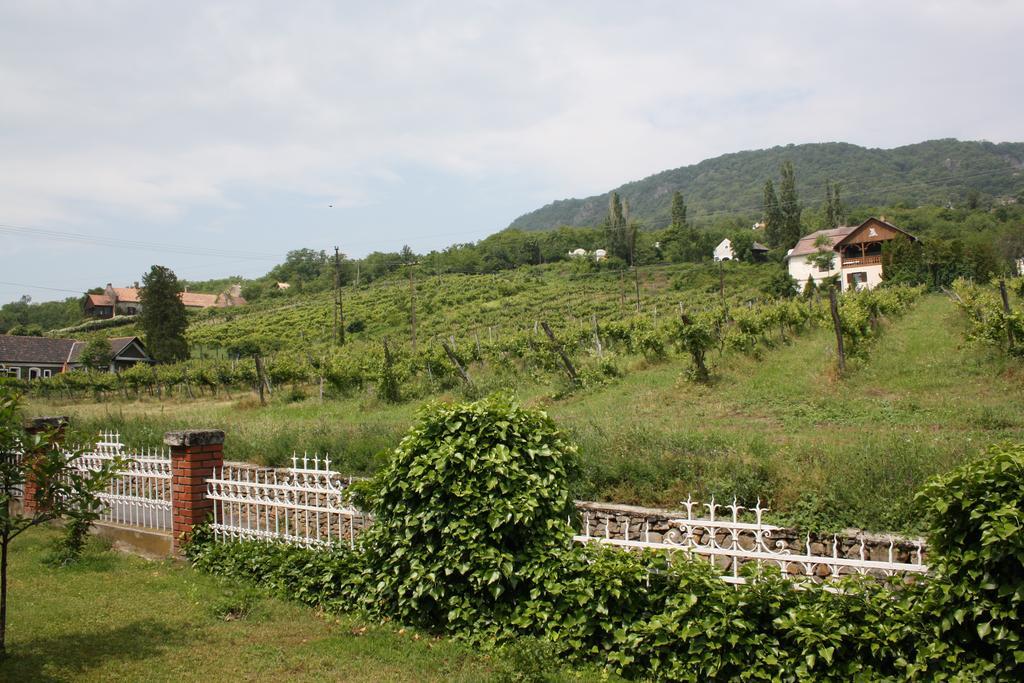 Bacchus Apartman - Borbarlang, Badacsony Badacsonytomaj Dış mekan fotoğraf